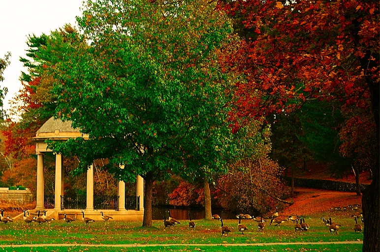 Fall in New England