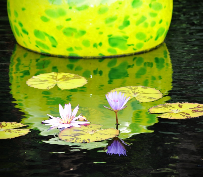 Easter Colors Fairchild Tropical Botanic Garden