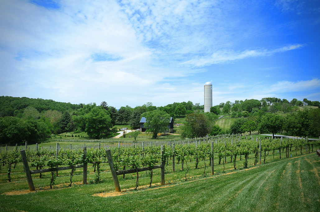 Weekend Getaways Virginia Wine Country