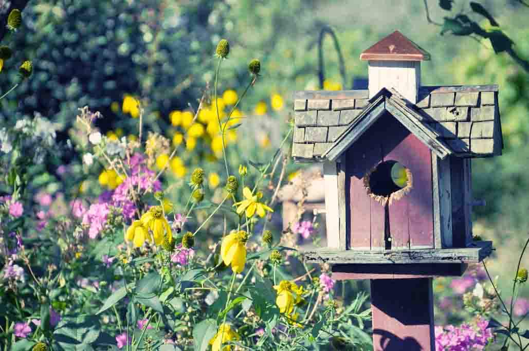 Enchanted Garden Upstate New York