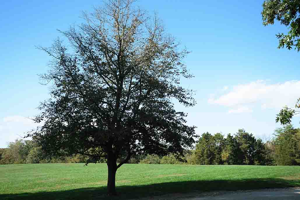 A Beautiful Day Trip to Mount Vernon