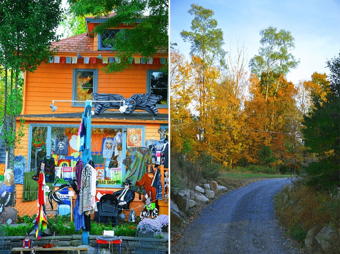 Things to Do in Woodstock New York for Fall