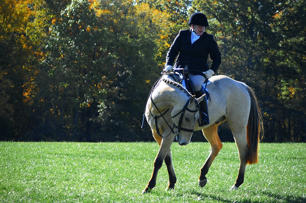 Horse & Hound Show in Mount Vernon