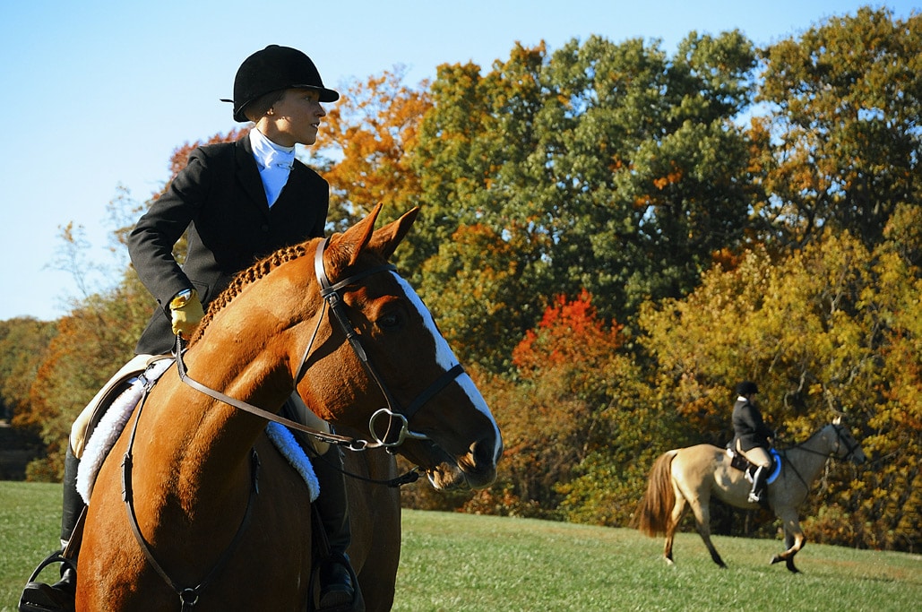 Horse & Hound Show in Mount Vernon