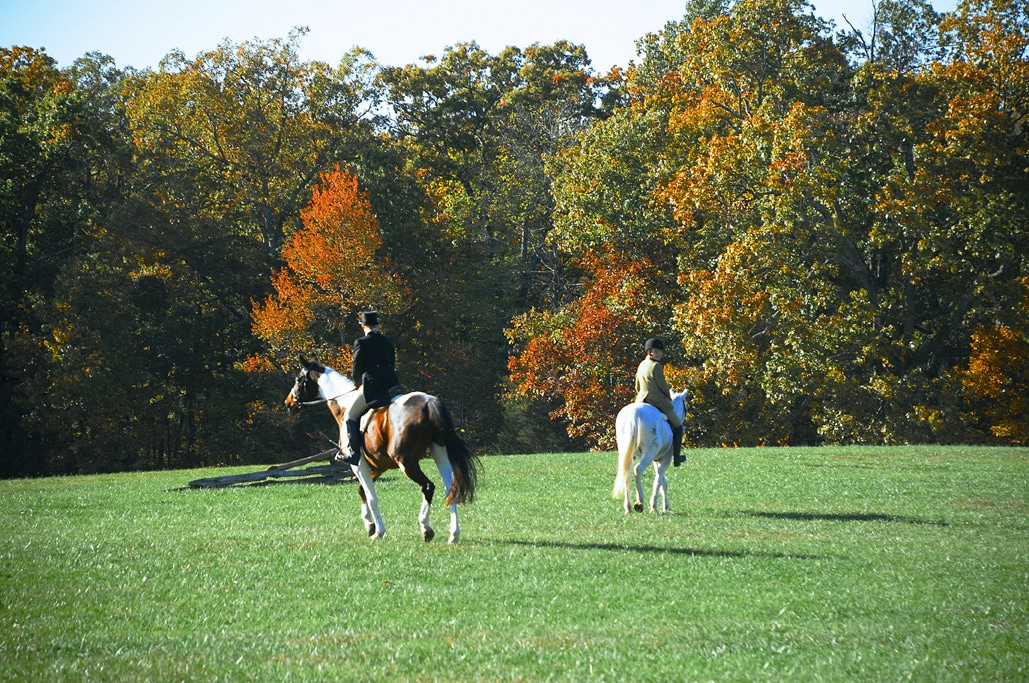 Horse & Hound Show in Mount Vernon