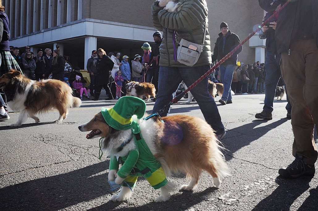 Scottish Christmas Walk in Old Town Alexandria