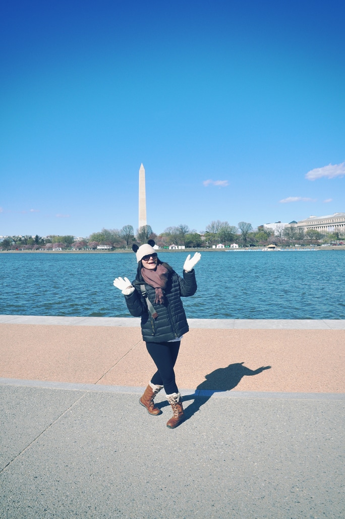 Cherry Blossoms Season in Washington, DC