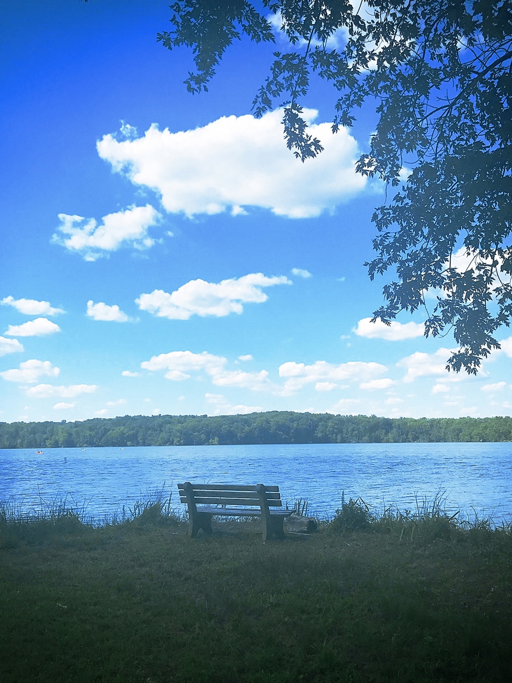 Pohick Bay Regional Park Lorton VA