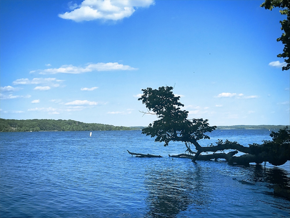 Pohick Bay Regional Park Lorton VA