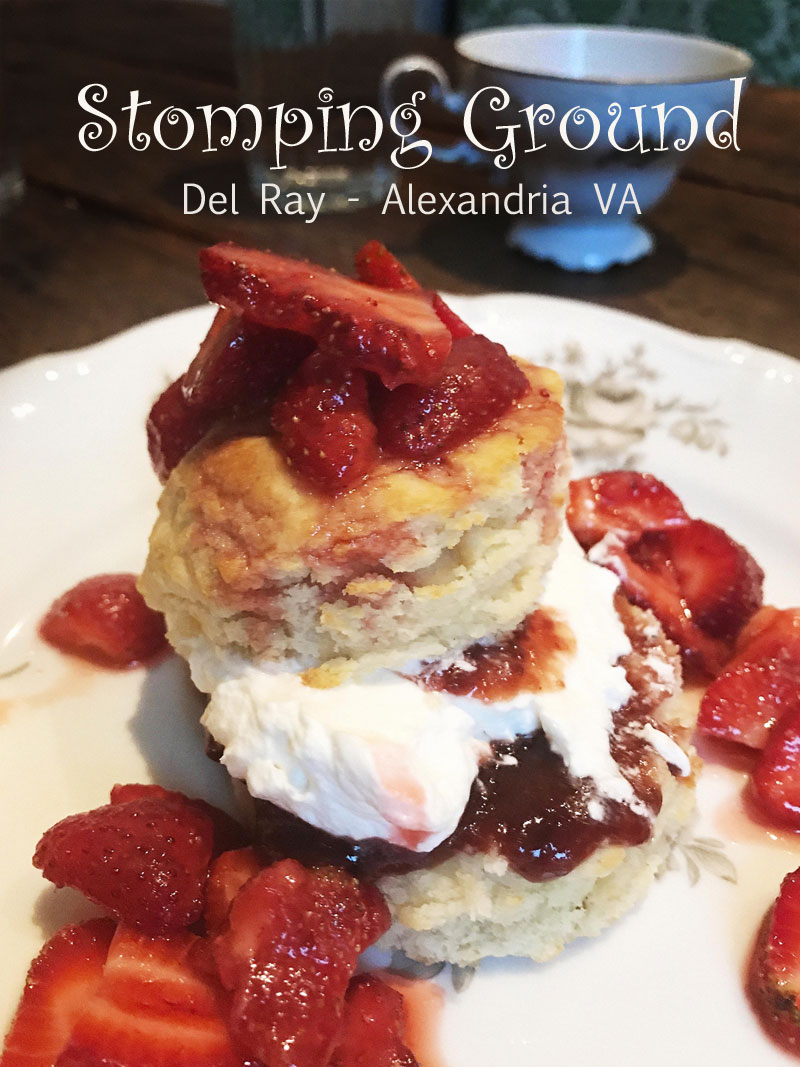 Best Biscuits in Alexandria VA -Stomping Ground