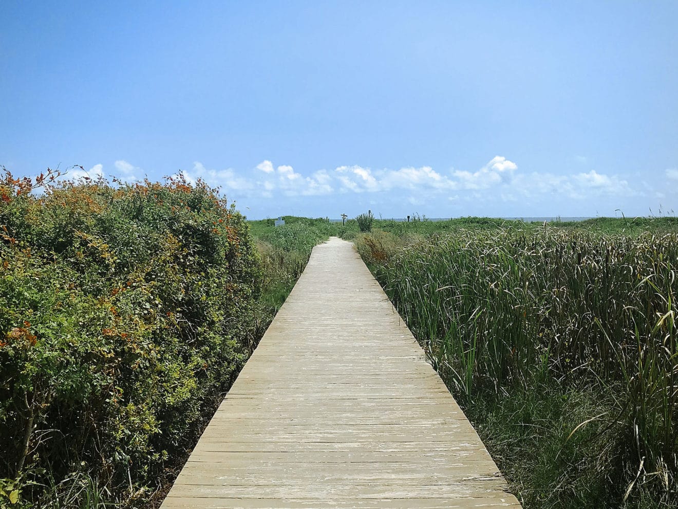 Folly-Beach