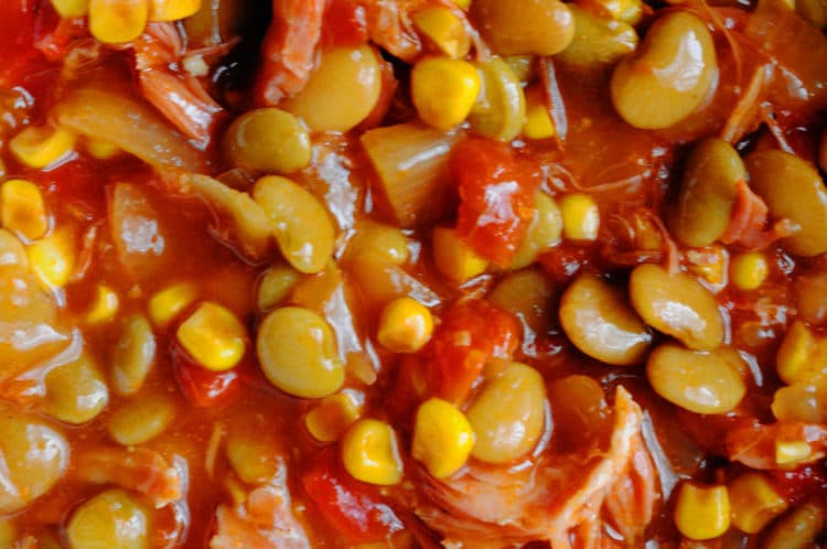 Easy to Make Brunswick Stew Recipe | Lizzy Loves Food