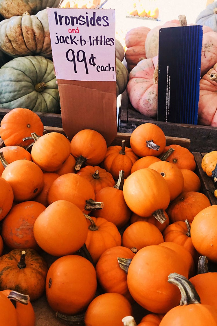 Fall Vegetables at the Farmers Market