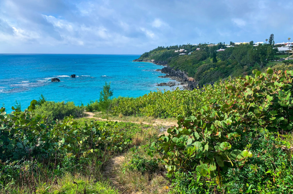 Vacation in Bermuda | Lizzy Loves Food