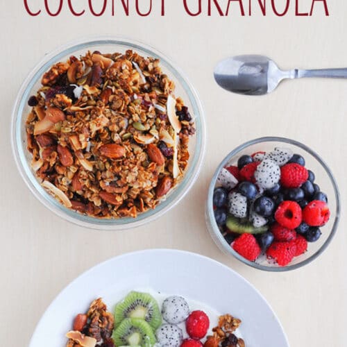 Low-Carb Coconut Granola Recipe {Florida} | Lizzy Loves Food