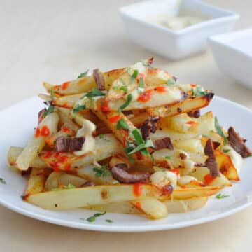 Baked-Fries-with-two-toppings