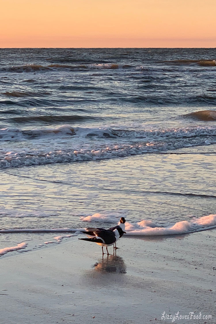 florida beach