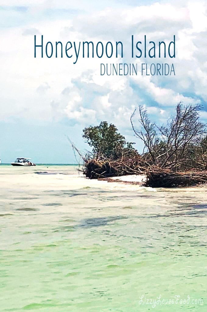 Honeymoon Island Florida