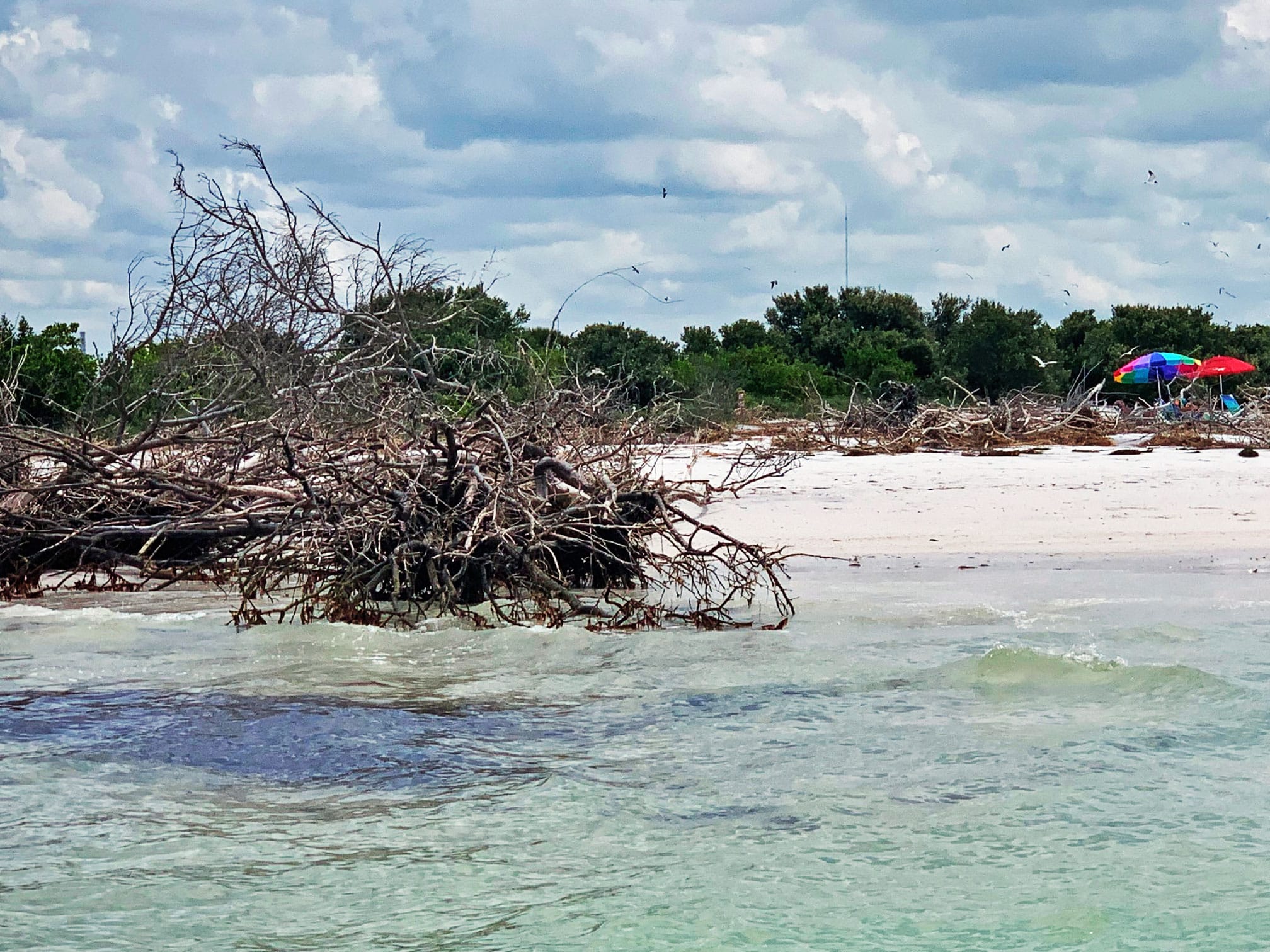 Honeymoon Island Florida