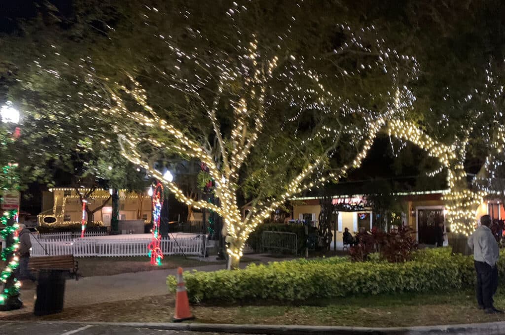 lights on trees